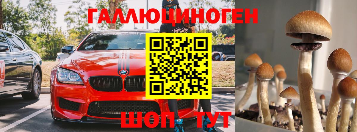 Галлюциногенные грибы ЛСД  Галлюциногенные грибы Magic Shrooms  Вход с VPN  Медногорск 